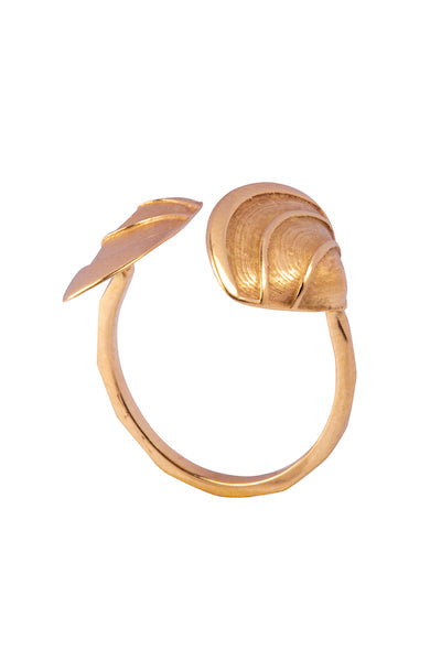 Double Shell Ring